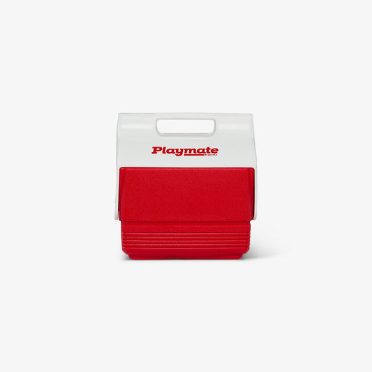 playmate-mini-4-qt-cooler-g2 00005562-F.jpg