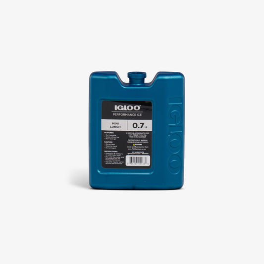 performance-ice-mini-lunch-block-r7 00025463-mini-lunch-ice-block-front.jpg