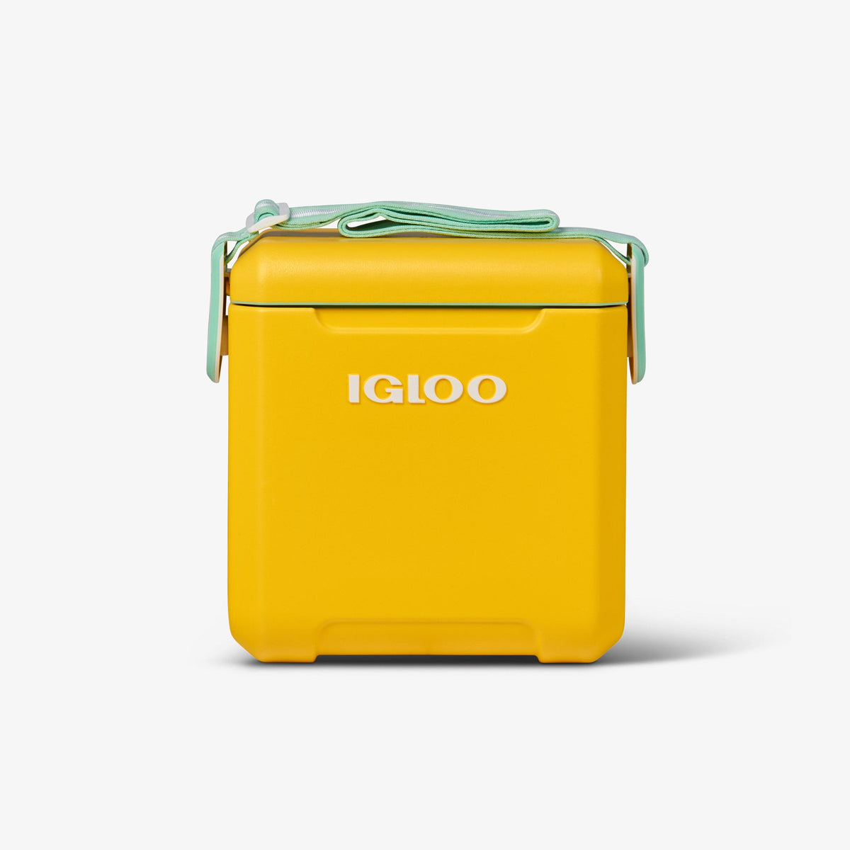 tag-along-too-cooler-r2 00032819_1.jpg