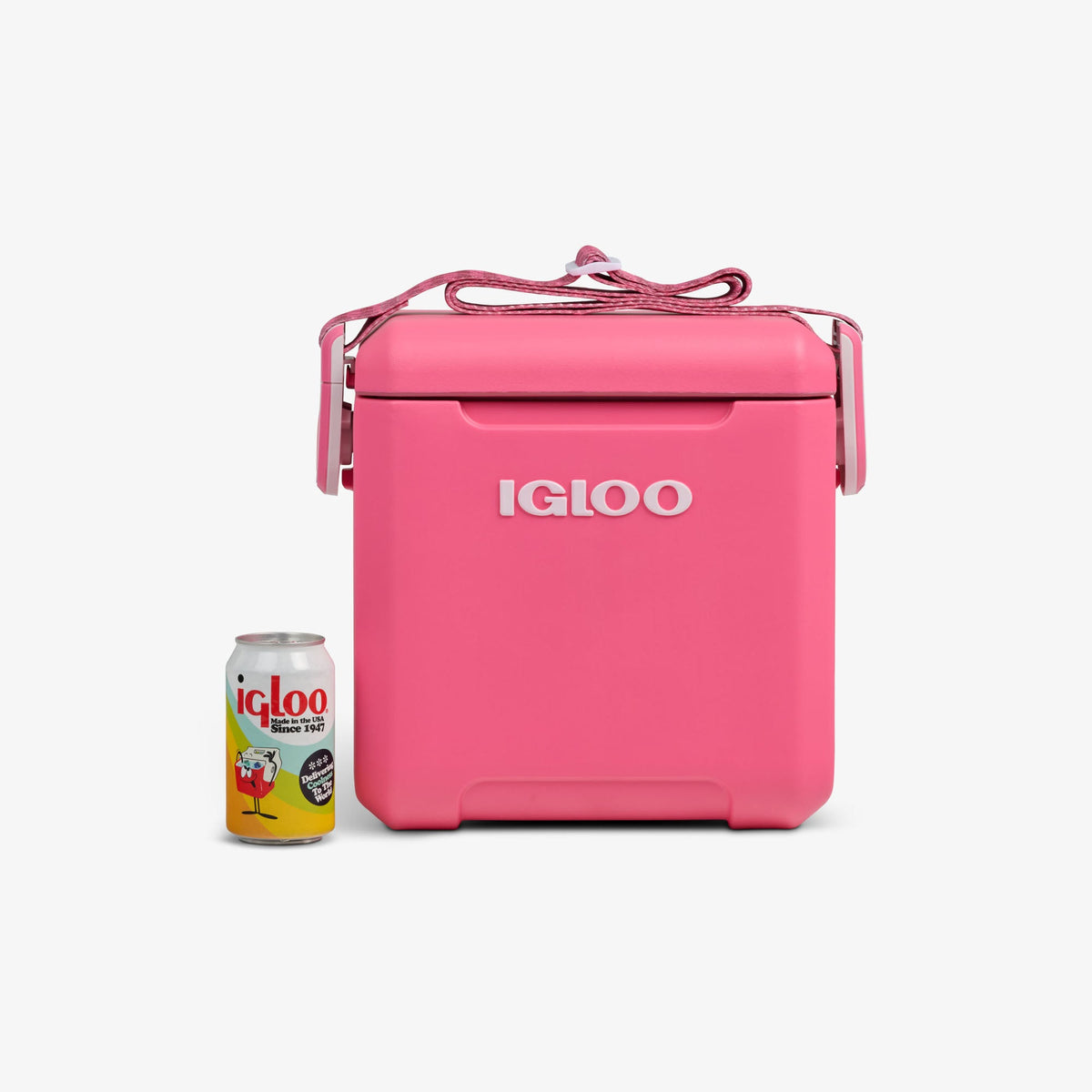 tag-along-too-remix-cooler-e9 00033199-P_861a5cd2-f15c-4217-a471-e33cc3890d9e.jpg