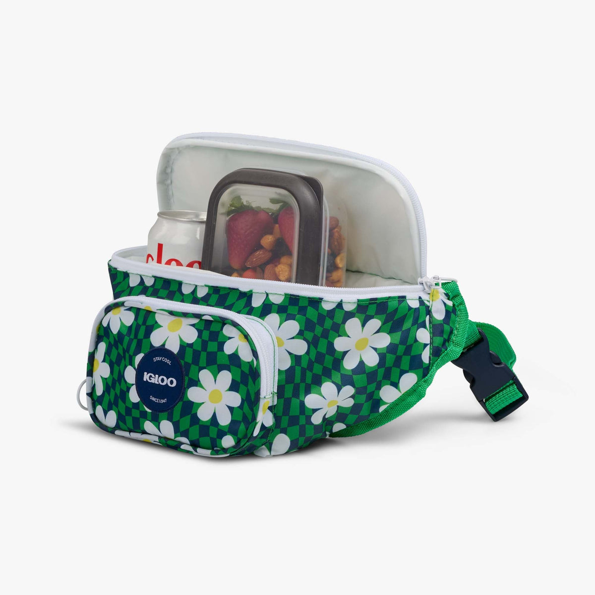 retro-fanny-pack-v5 00067206-P1.jpg